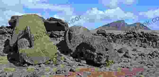 A Panoramic View Of Rano Raraku Quarry, A Vast Expanse Of Volcanic Rock Where The Moai Statues Were Meticulously Carved And Shaped. Photos Taken By Japanese Tourist In Easter Island