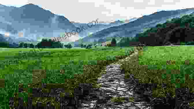 A Serene Landscape Depicting The Meandering Path Of Li, Inviting Travelers On A Journey Of Self Discovery The Path Of Li