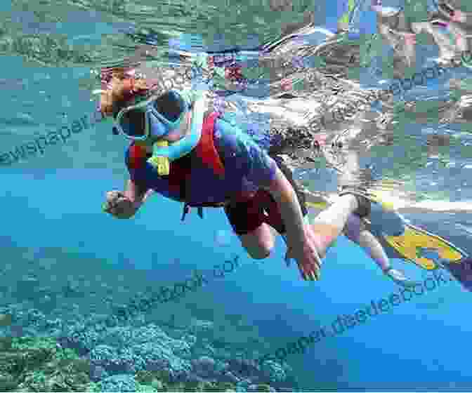 Image Of A Child Snorkeling In The Lagoon, Surrounded By Marine Life The Summer Camp From The Black Lagoon (Black Lagoon Adventures 24)