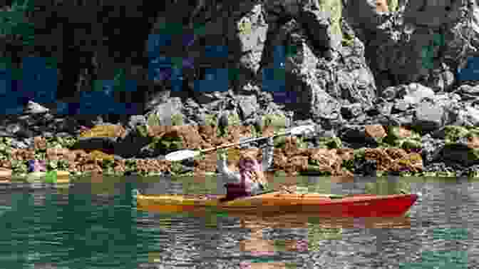 Image Of Children Kayaking In A Secluded Cove, Surrounded By Towering Sea Cliffs The Summer Camp From The Black Lagoon (Black Lagoon Adventures 24)