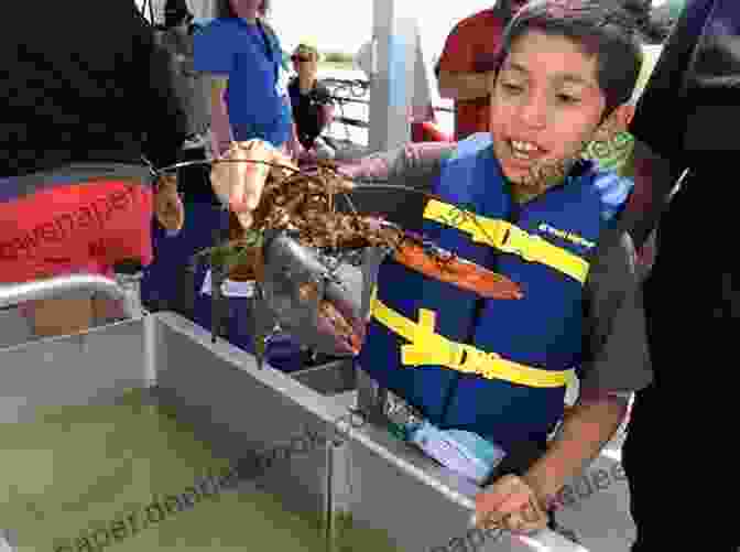 Image Of Children Learning About Marine Life From A Camp Instructor The Summer Camp From The Black Lagoon (Black Lagoon Adventures 24)