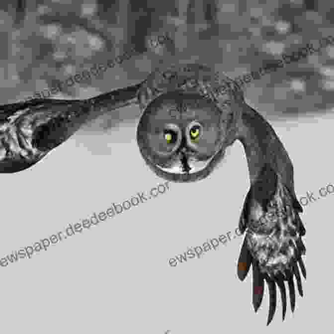 Owls Have Specially Adapted Feathers That Allow Them To Fly Silently. Owl: Fun Facts On Birds For Kids #11