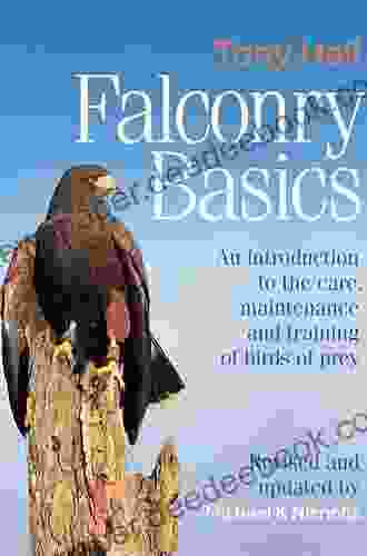 Falconry Basics: An Introduction To The Care Maintenance And Training Of Birds Of Prey