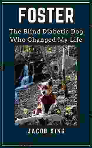 FOSTER: The Blind Diabetic Dog Who Changed My Life