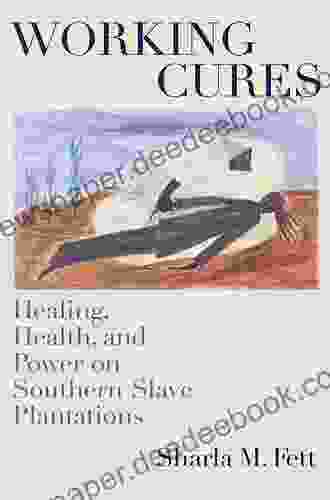 Working Cures: Healing Health And Power On Southern Slave Plantations (Gender And American Culture)